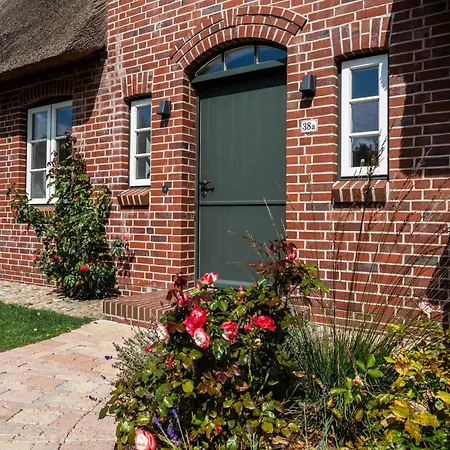 Rosa Rugosa Holiday home