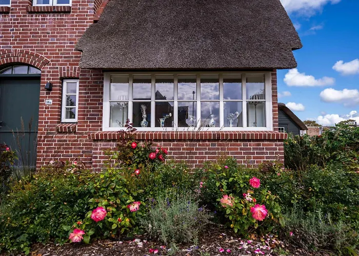 Rosa Rugosa Casa de Férias Borgsum